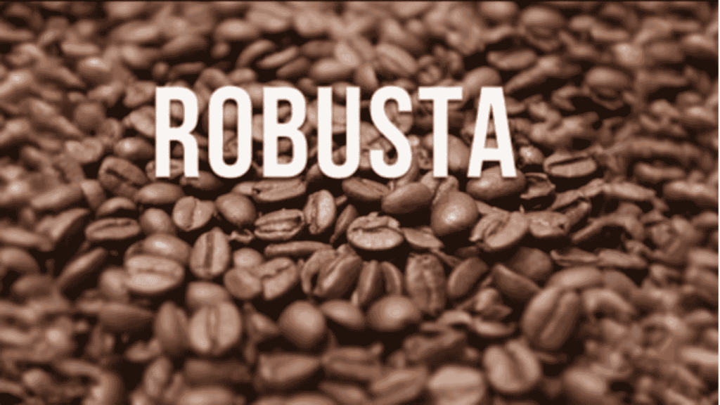 Giá cafe Robusta: Phân tích và cơ hội đầu tư trên thị trường phái sinh cùng SACT 1 gia-cafe-robusta