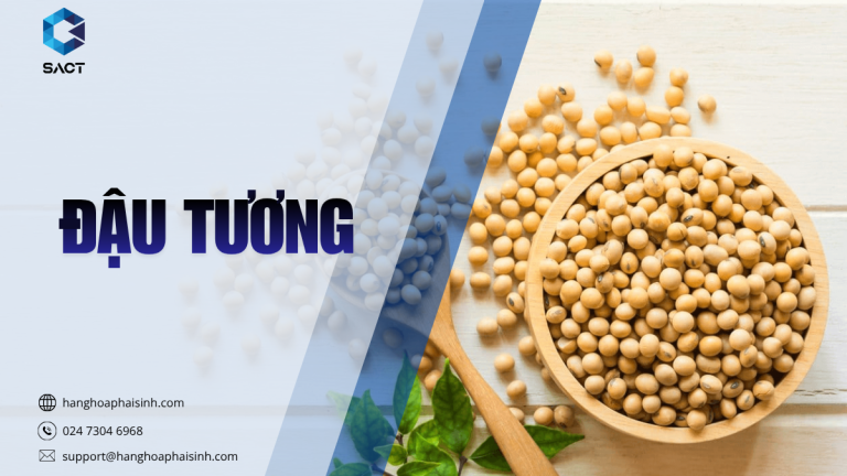 đậu tương