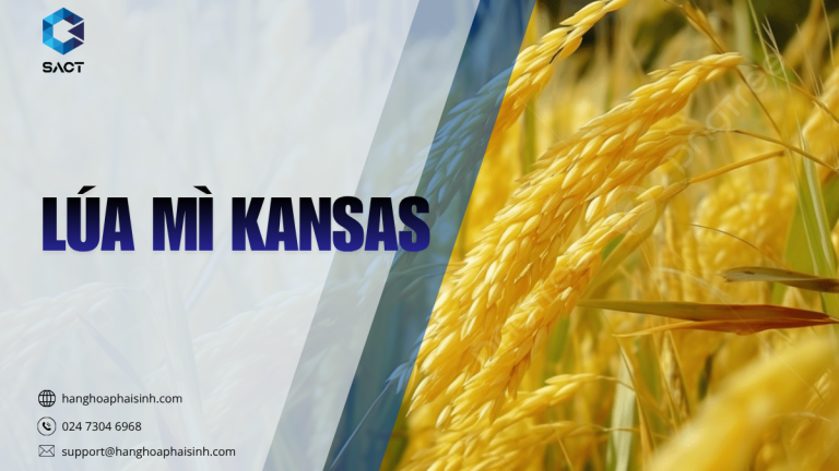 Lúa mì Kansas