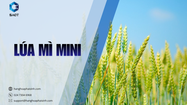 Lúa mì Mini