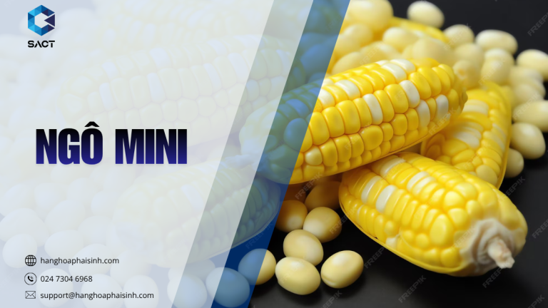 Ngô Mini