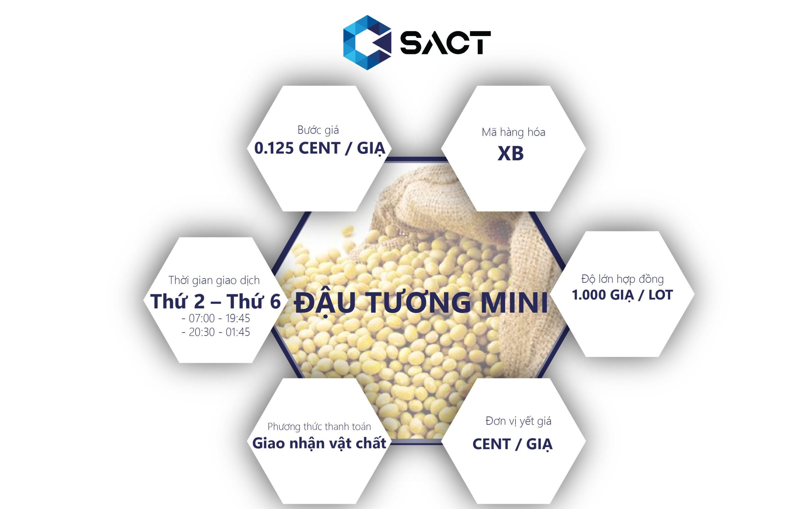 ĐẬU TƯƠNG MINI 1 z3723773812835 979fcfde66fd3226bbf38ea1c3163c54 scaled