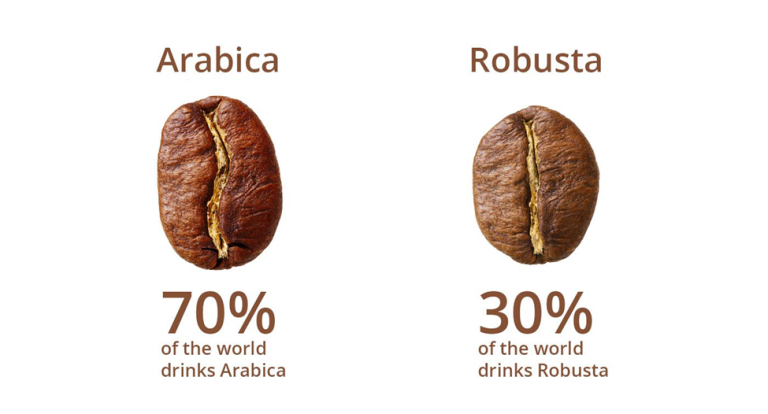 Đầu tư cà phê Robusta như thế nào ?
