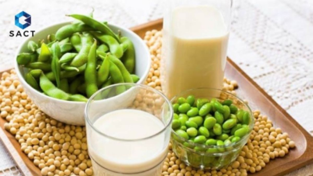 Đầu tư đậu tương là gì? Cách đầu tư với vốn thấp có lời 3 Các yếu tố ảnh hưởng đến giá đầu tư đậu tương