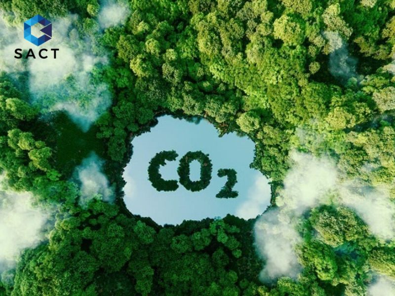 Nguồn gốc hình thành và phát triển của thị trường giao dịch carbon