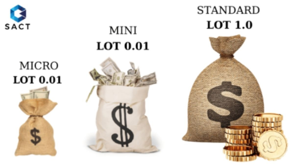 Lot là gì? 4 đặc điểm của Lot mà nhà đầu tư cần biết 2 kích thước lot là gì?