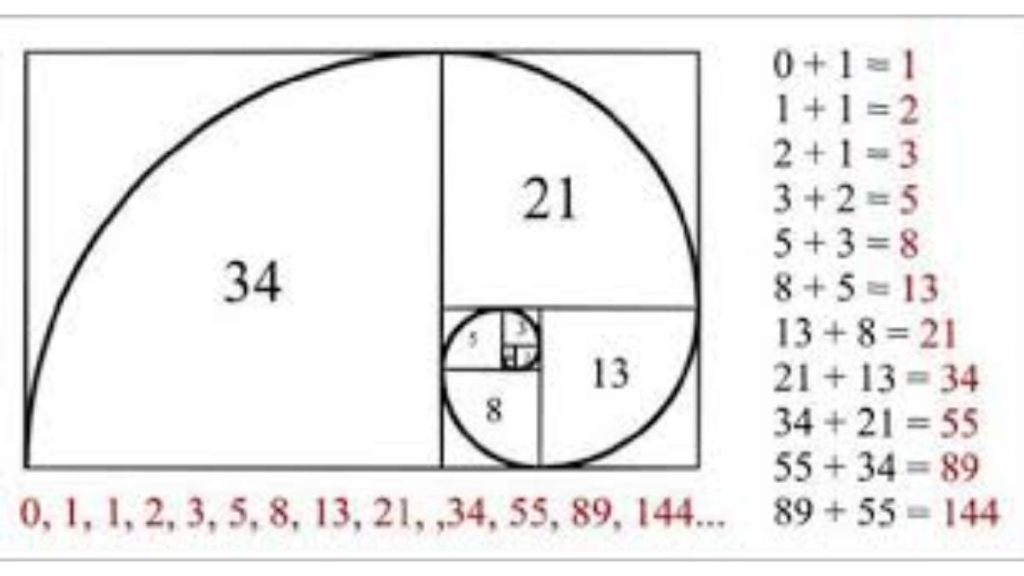Số Fibonacci là gì? Nghệ thuật giao dịch với dãy số Fibonacci? 1 Số fibonacci là gì ?