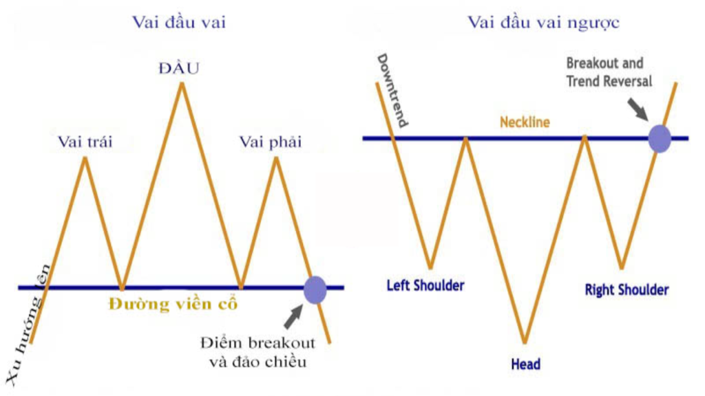 phan-loai-mo-hinh-vai-dau-vai