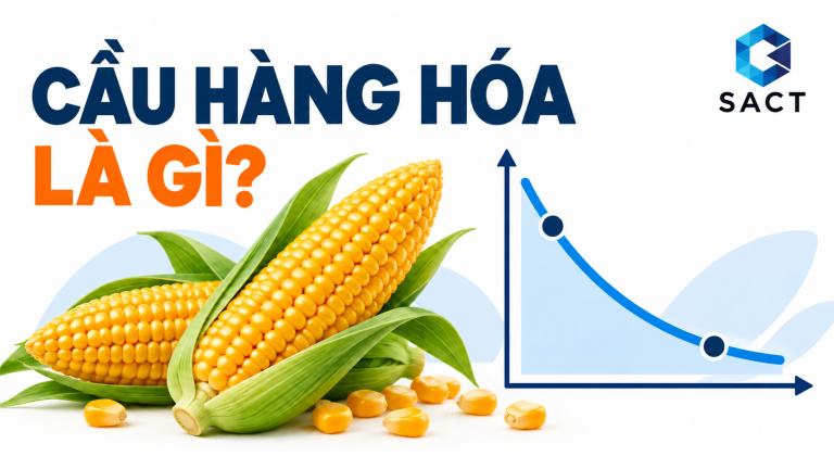 Minh họa về cầu hàng hóa bằng ngô và đường cầu; có logo SACT. Đường cong mang tính khái niệm, không phải dữ liệu thị trường.