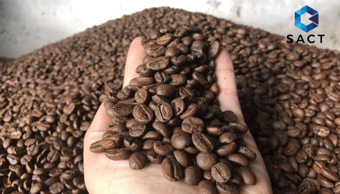 Đầu tư hàng hoá cà phê là gì? 7 lý do thu hút nhà đầu tư của mặt hàng cà phê