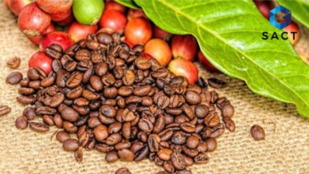 Đầu tư hàng hoá cà phê là gì? 7 lý do thu hút nhà đầu tư của mặt hàng cà phê 1 Đầu tư hàng hoá cà phê là gì?