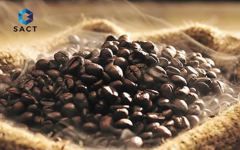 Bảng giá Cafe Robusta hôm nay 1 batch sfgia ca phe hom nay 192909 199