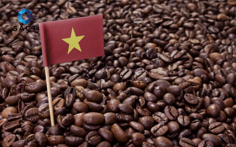 Giá cafe Arabica trực tuyến hôm nay 1 batch sfgia ca phe hom nay 304