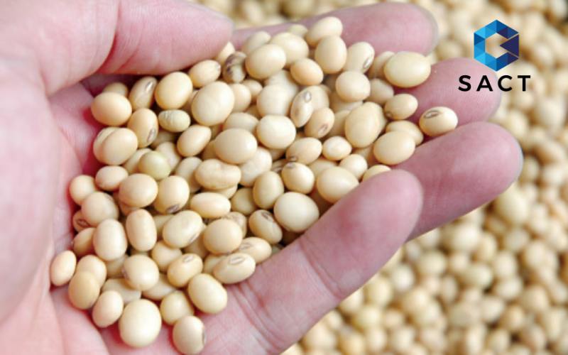 Cập nhật thông tin về giá đậu nành hôm nay cho nhà đầu tư 4 batch sfgia dau nanh dau tuong hom nay bao nhieu 1kg mua o dau.png