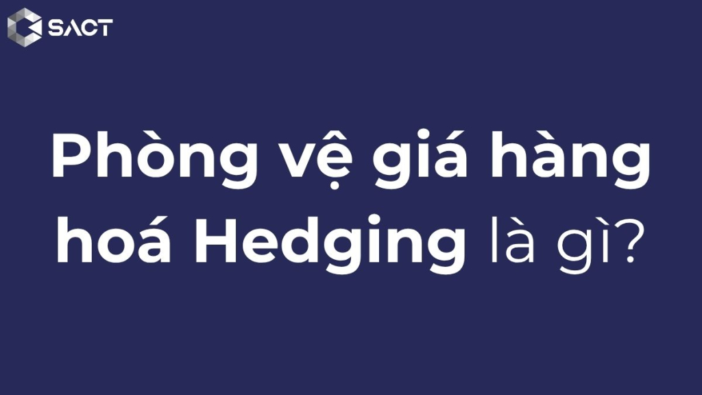 Phòng vệ giá hàng hoá Hedging là gì? Ví dụ về phòng vệ giá hàng hóa 1 Phòng vệ giá hàng hoá là gì ?