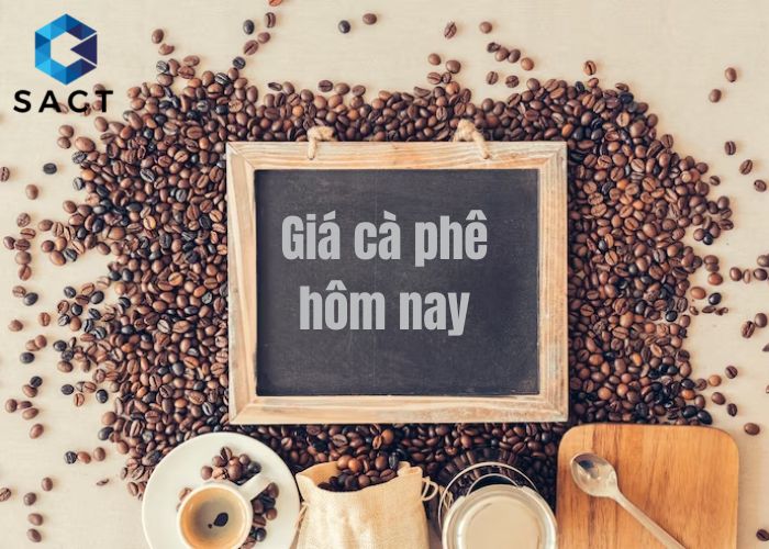 giá cà phê hôm nay - SACT