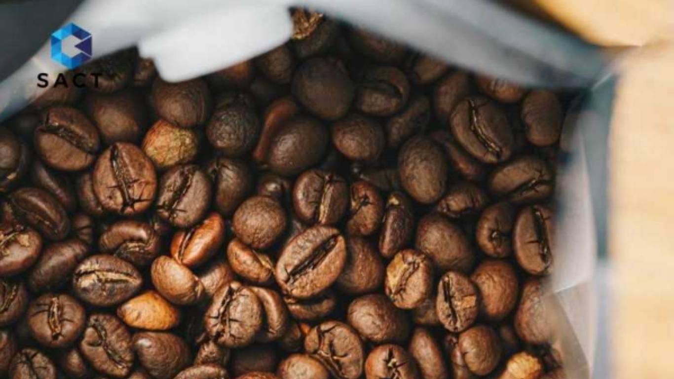 Giá Cà Phê Hôm Nay 14/7/2025 Giảm Chạm Đáy 16 Tháng, Robusta Mất Gần 40% Giá Trị 3 giá cà phê robusta