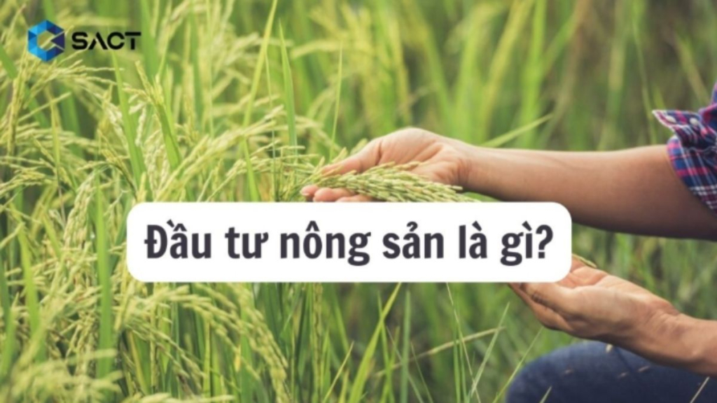 Đầu tư nông sản là gì? Bí quyết đầu tư nông sản trong giao dịch hàng hóa 1 Đầu tư nông sản là gì?