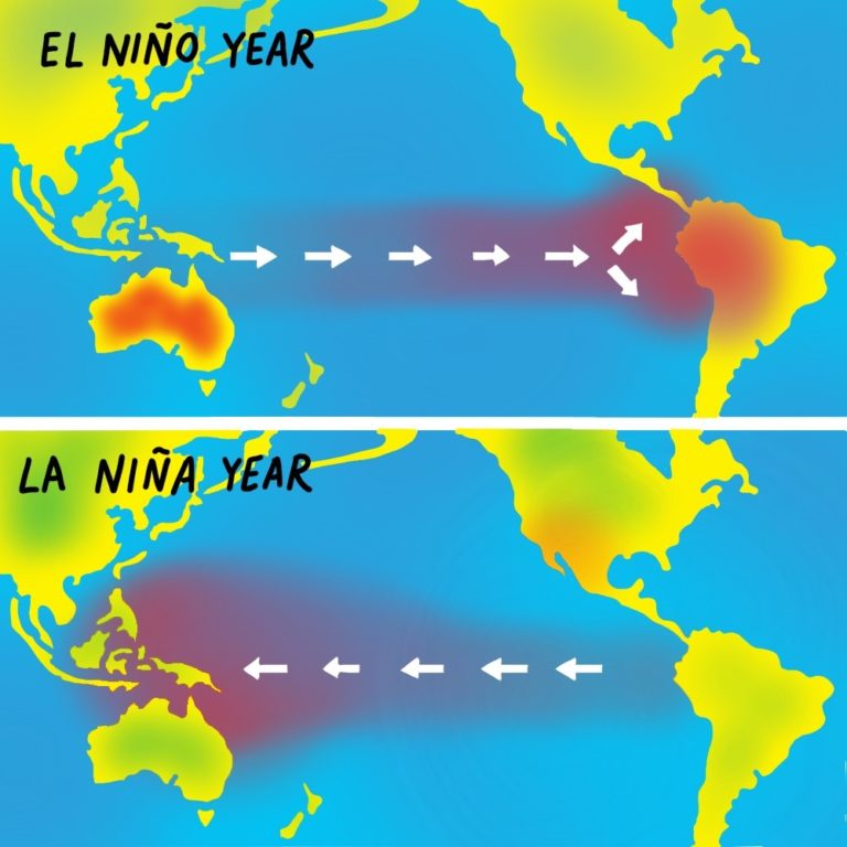 el nino 768x768 1