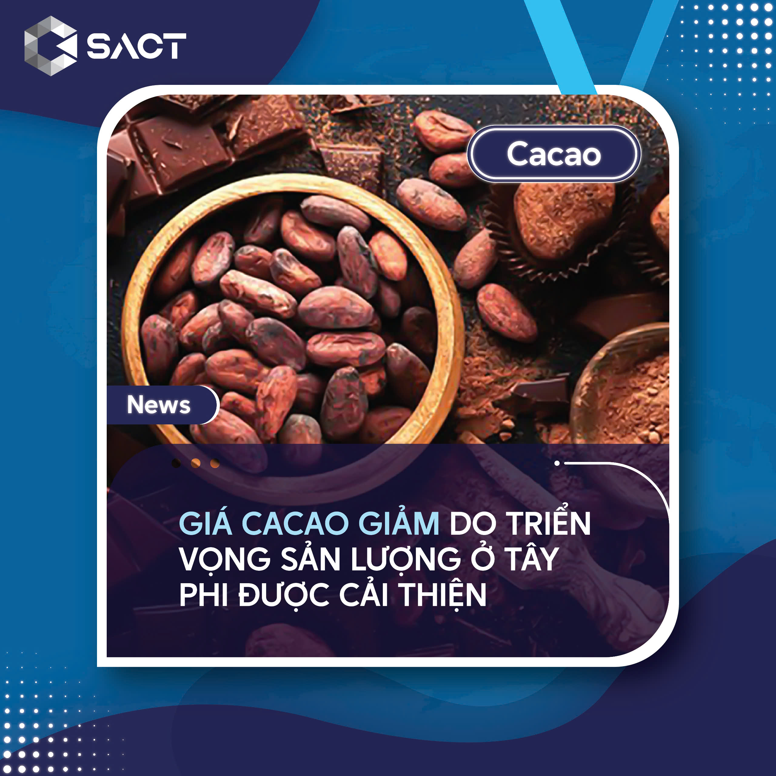 Sản lượng cacao năm 2023/24 của Cameroon đã tăng 1,2%