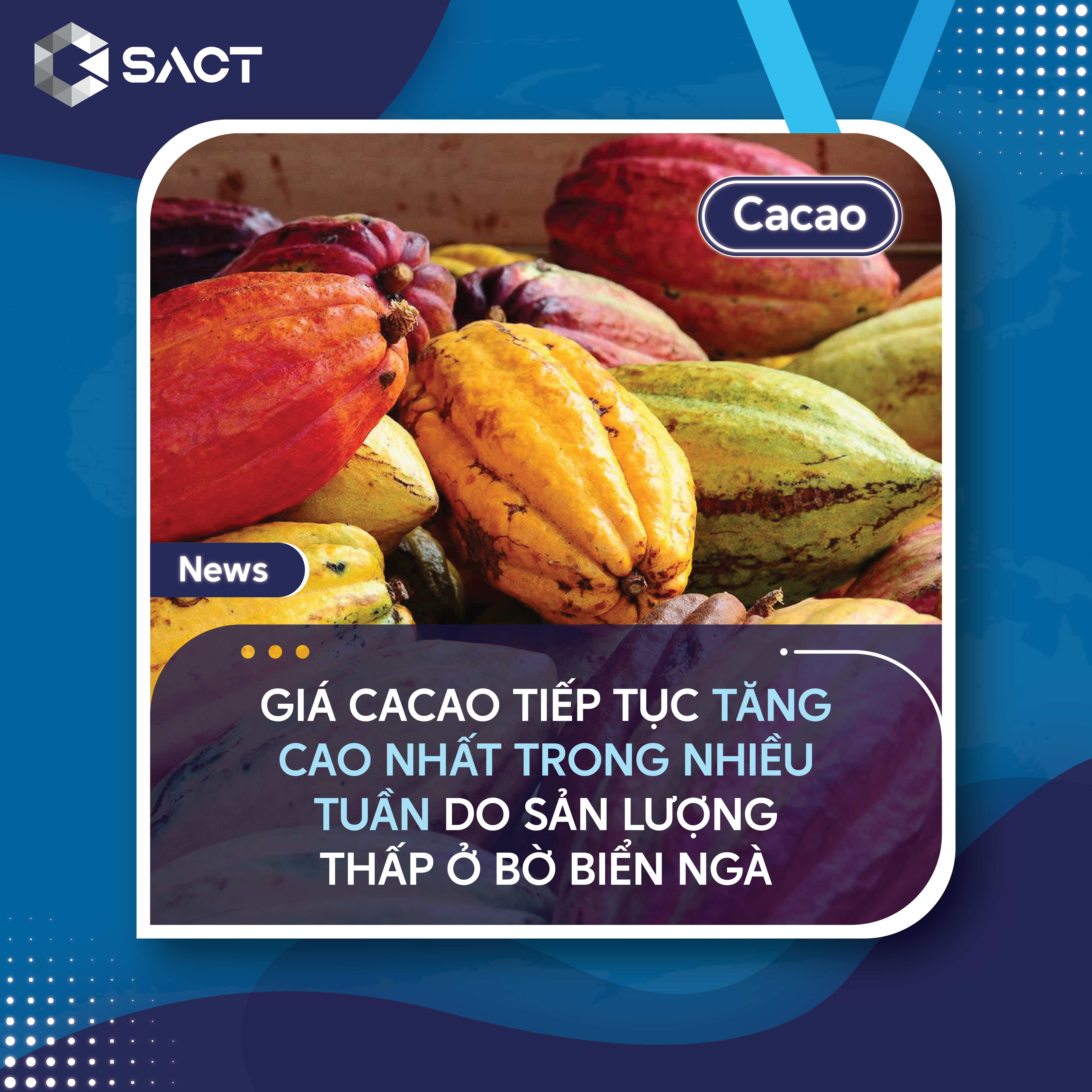 Nguồn cung thắt chặt tại Hoa Kỳ cũng hỗ trợ giá cacao 