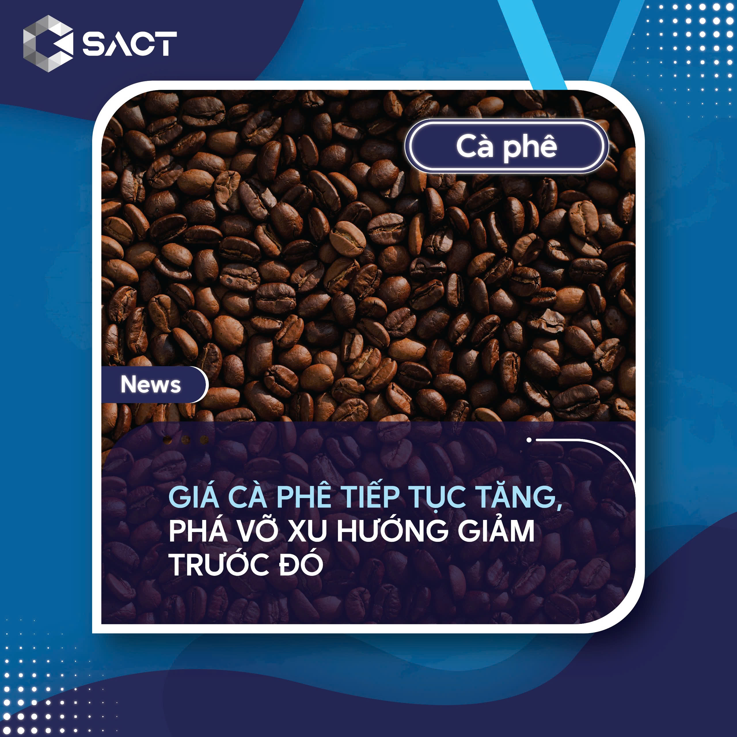 Giá cà phê đã phá vỡ đường xu hướng giảm, quay trở lại kênh tăng giá và đạt mức cao mới