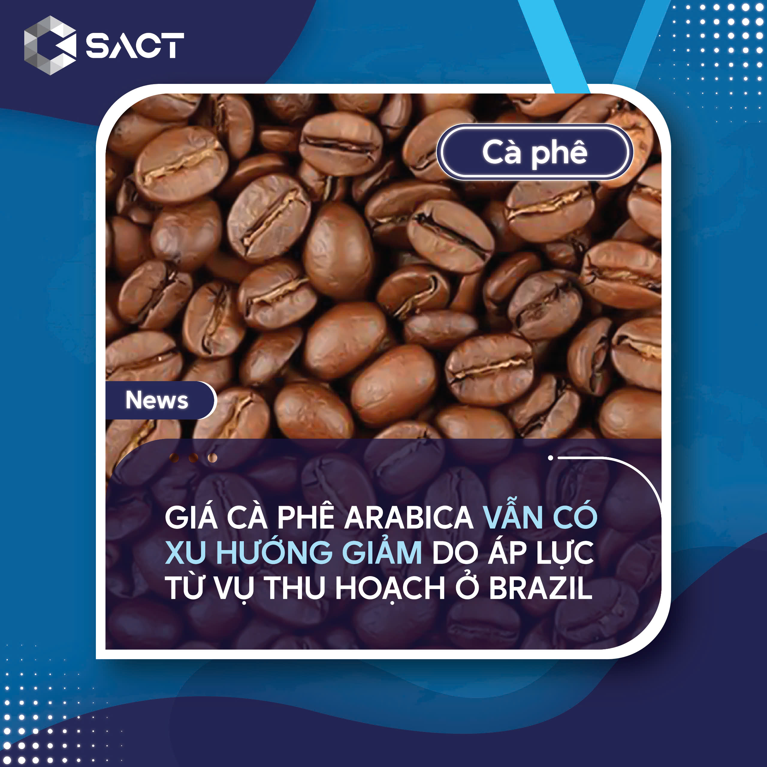 Xuất khẩu cà phê toàn cầu trong tháng 6 tăng 3,8% so với cùng kỳ năm ngoái