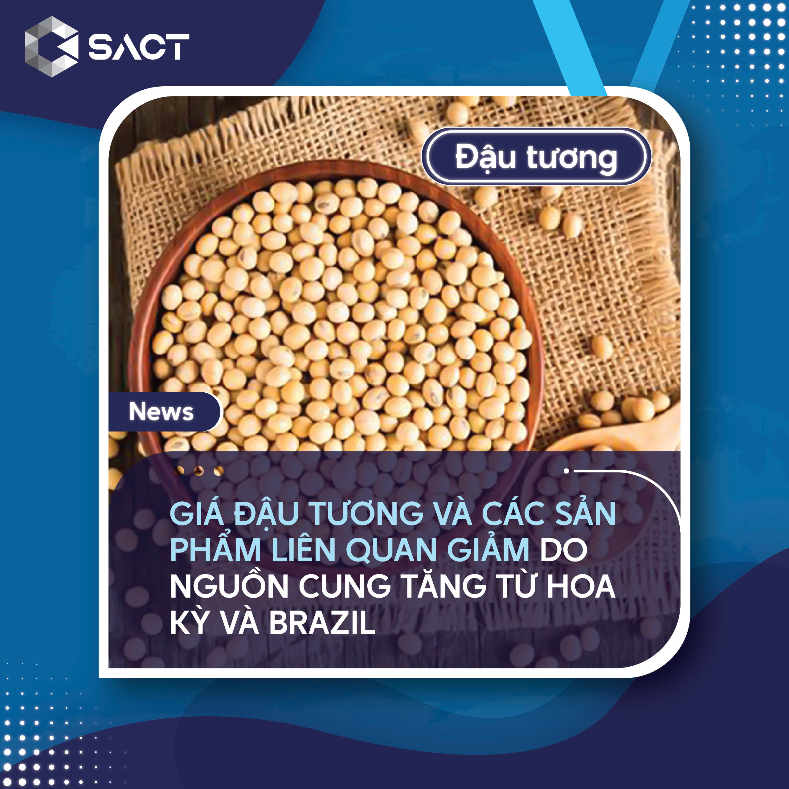 Sản lượng đậu tương của Mỹ ước tính đạt 53,2 bpa