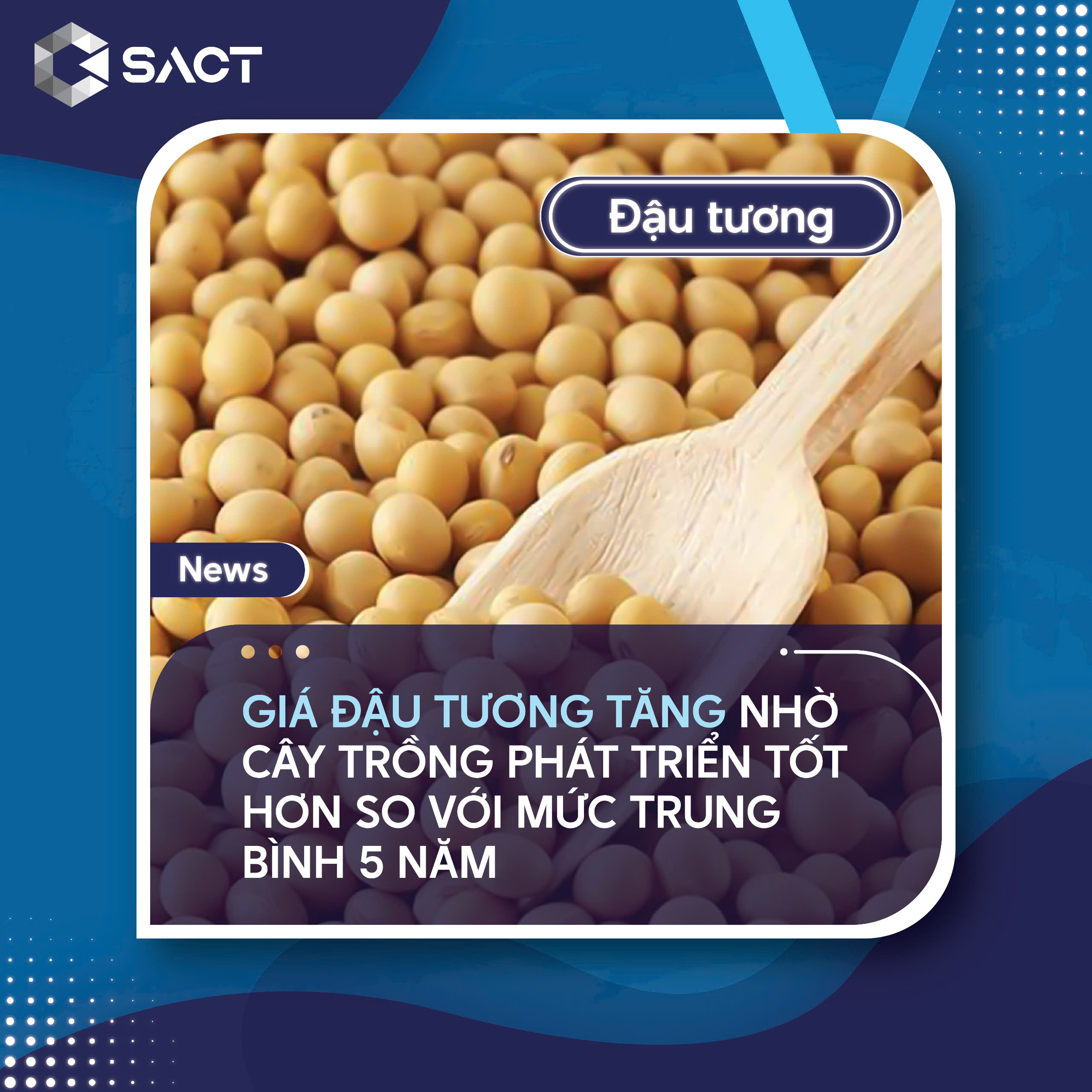 Giá đậu tương tương lai trên Sàn Chicago (CBOT) giảm nhẹ