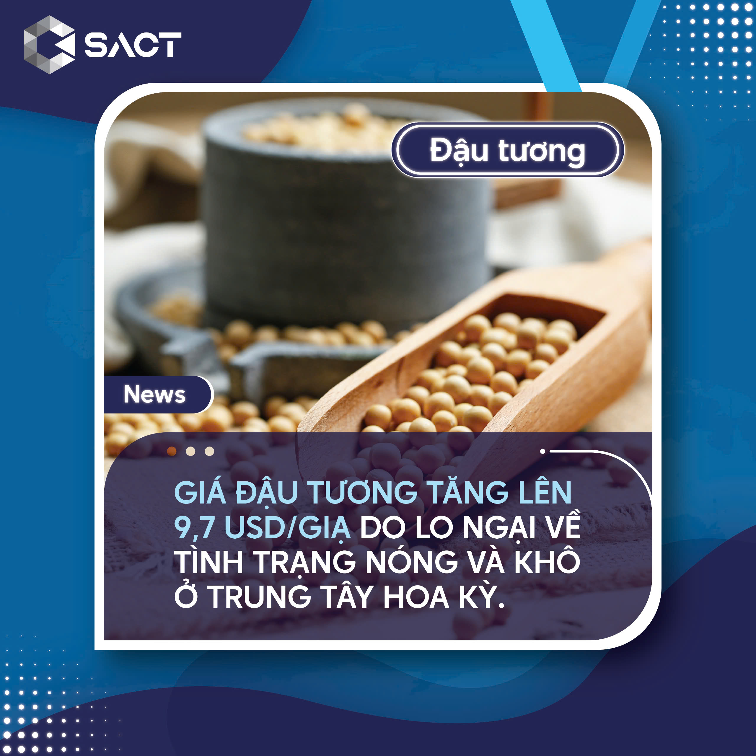 Tình trạng nóng và khô gần đây ở Trung Tây Hoa Kỳ đã làm gia tăng lo ngại về tác động tiềm tàng đến vụ đậu tương 