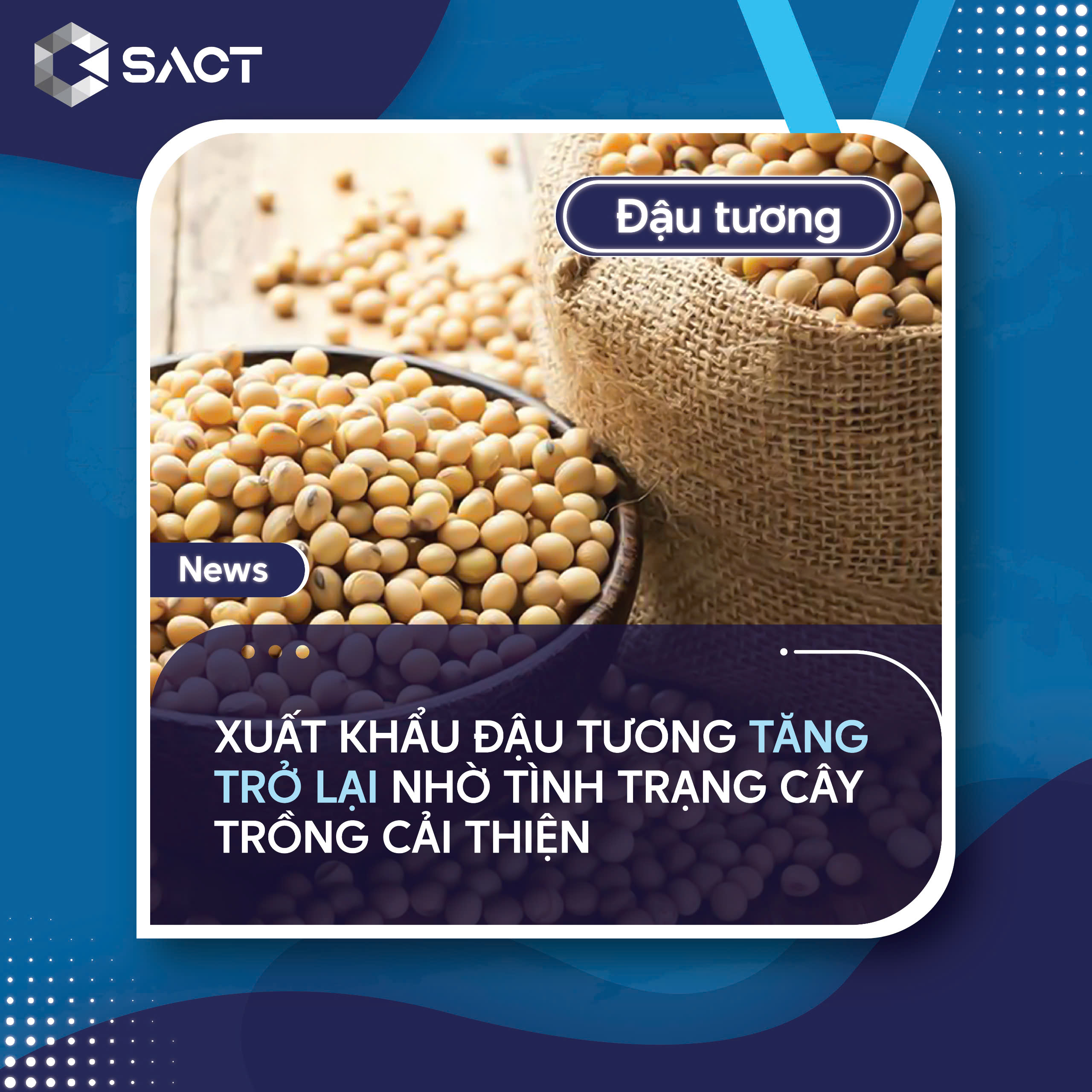 Xuất khẩu đậu tương của Hoa Kỳ đạt 1,339 MMT (49,2 mbu)