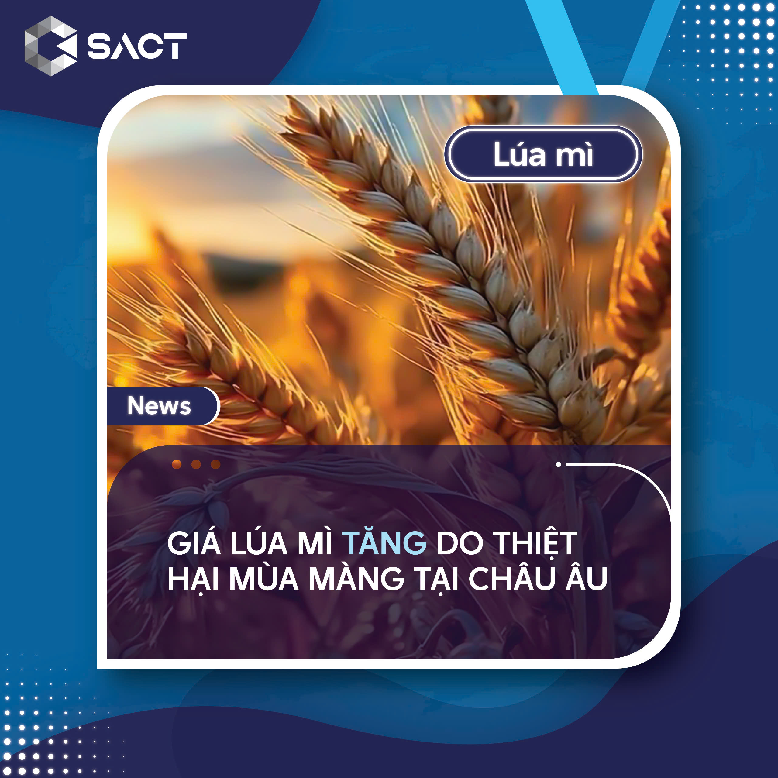 Hợp đồng lúa mì hoạt động tích cực nhất tăng 0,14% lên 5,39 đô la một giạ