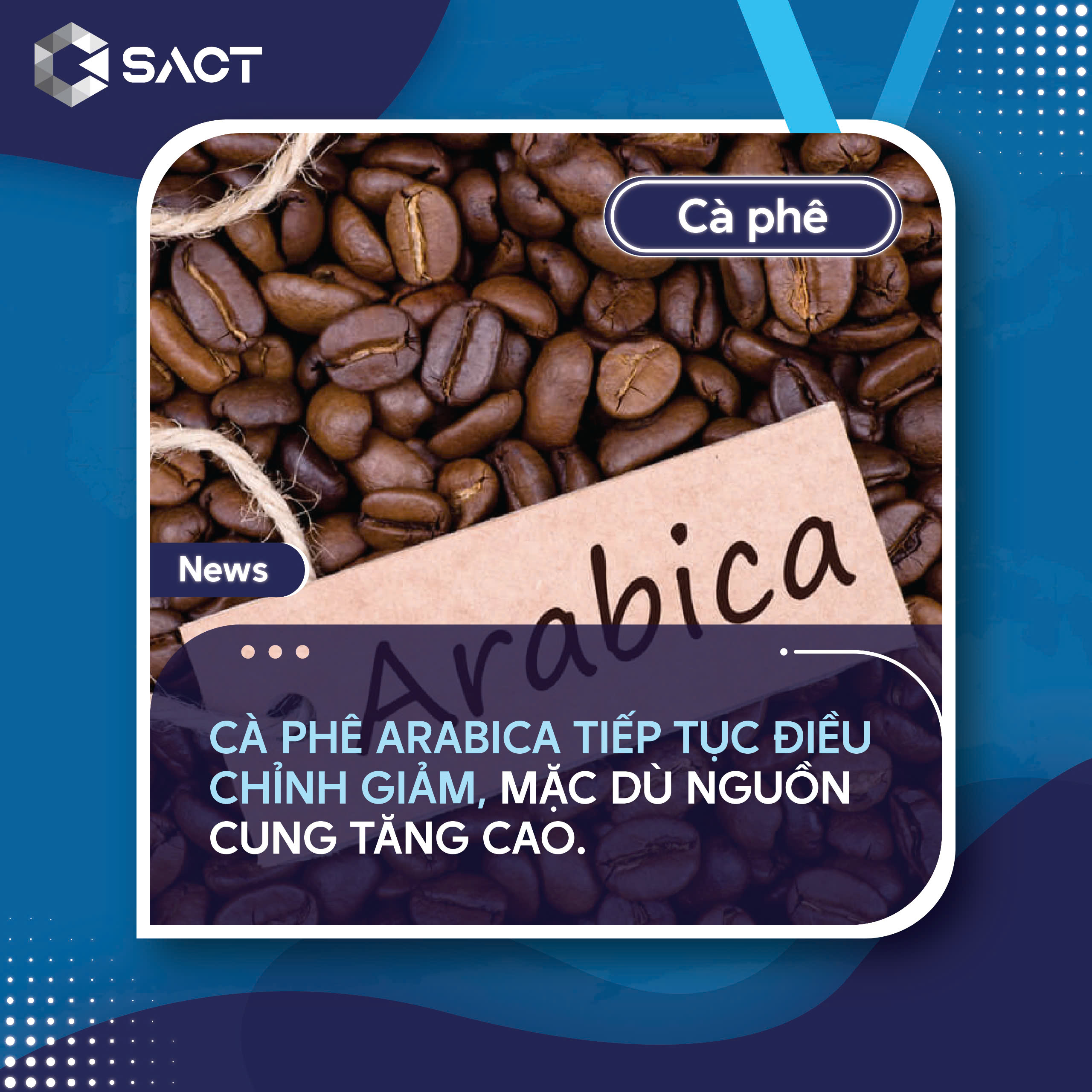 Xuất khẩu cà phê toàn cầu đã tăng 12,2% trong tháng 7