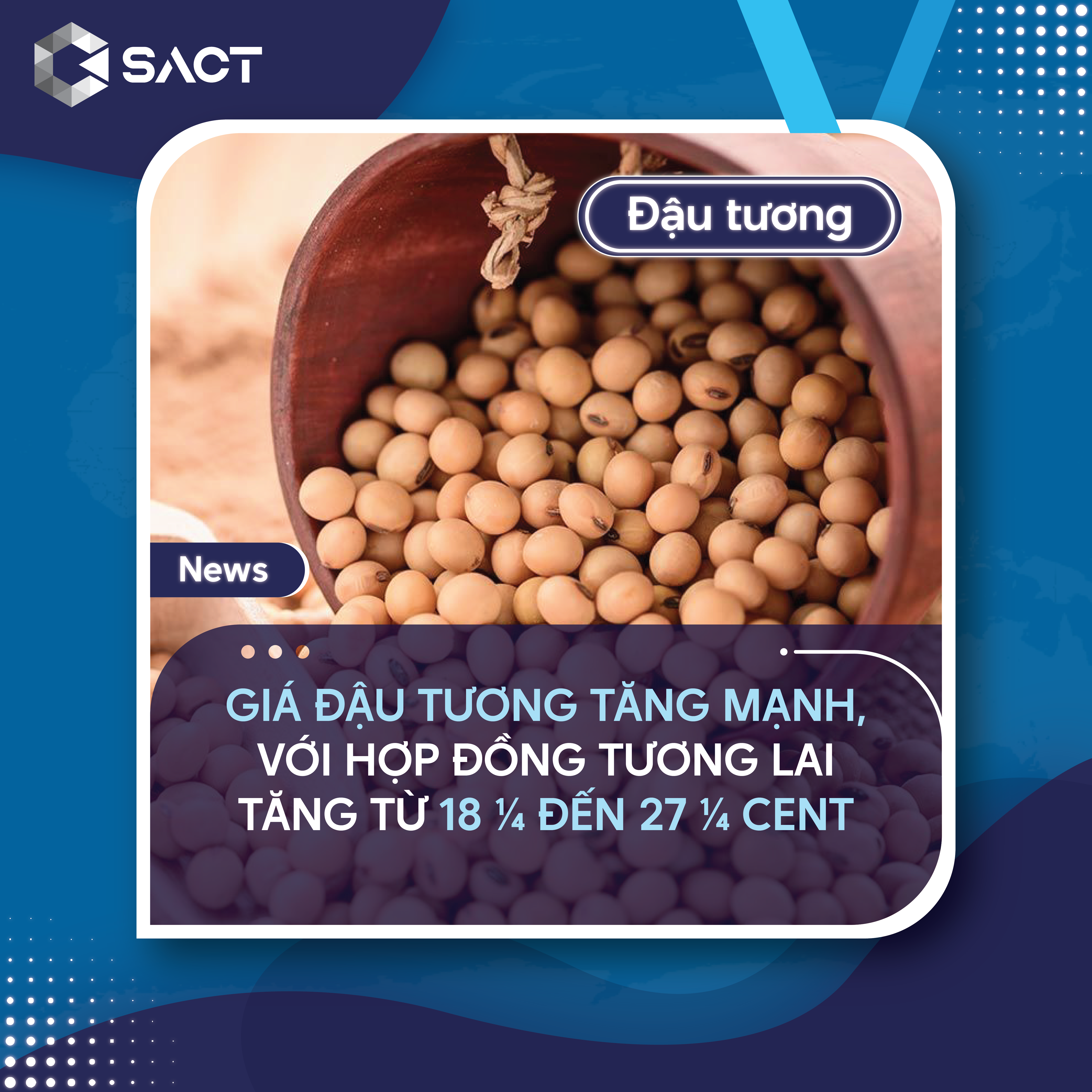 Tại Mỹ, tiến độ thu hoạch đậu tương đạt 13%, nhanh hơn mức trung bình