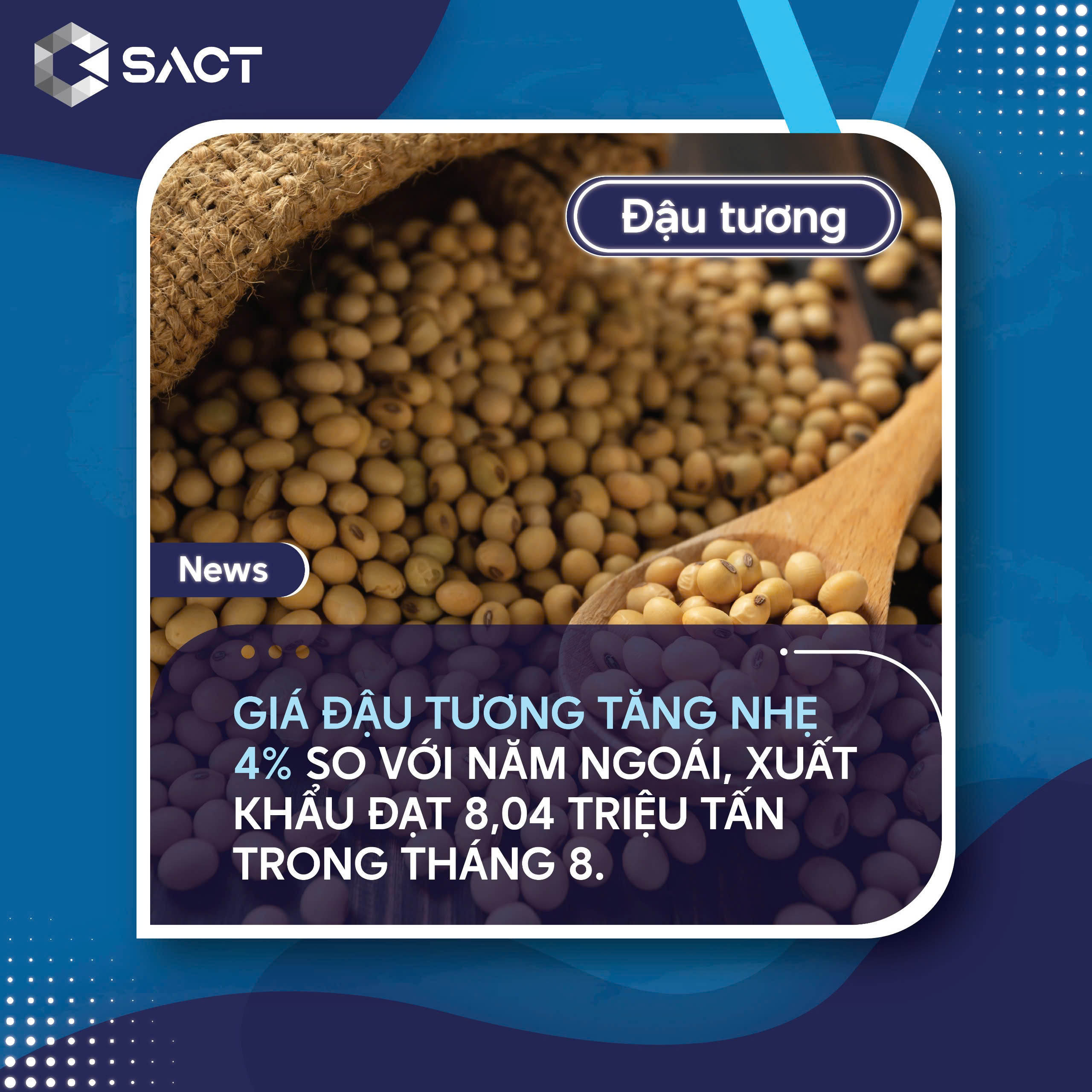 Giá đậu tương ghi nhận một số hỗ trợ vào cuối ngày