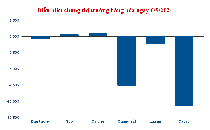 dien bien chung thi truong hang hoa ngay 6 9 2024