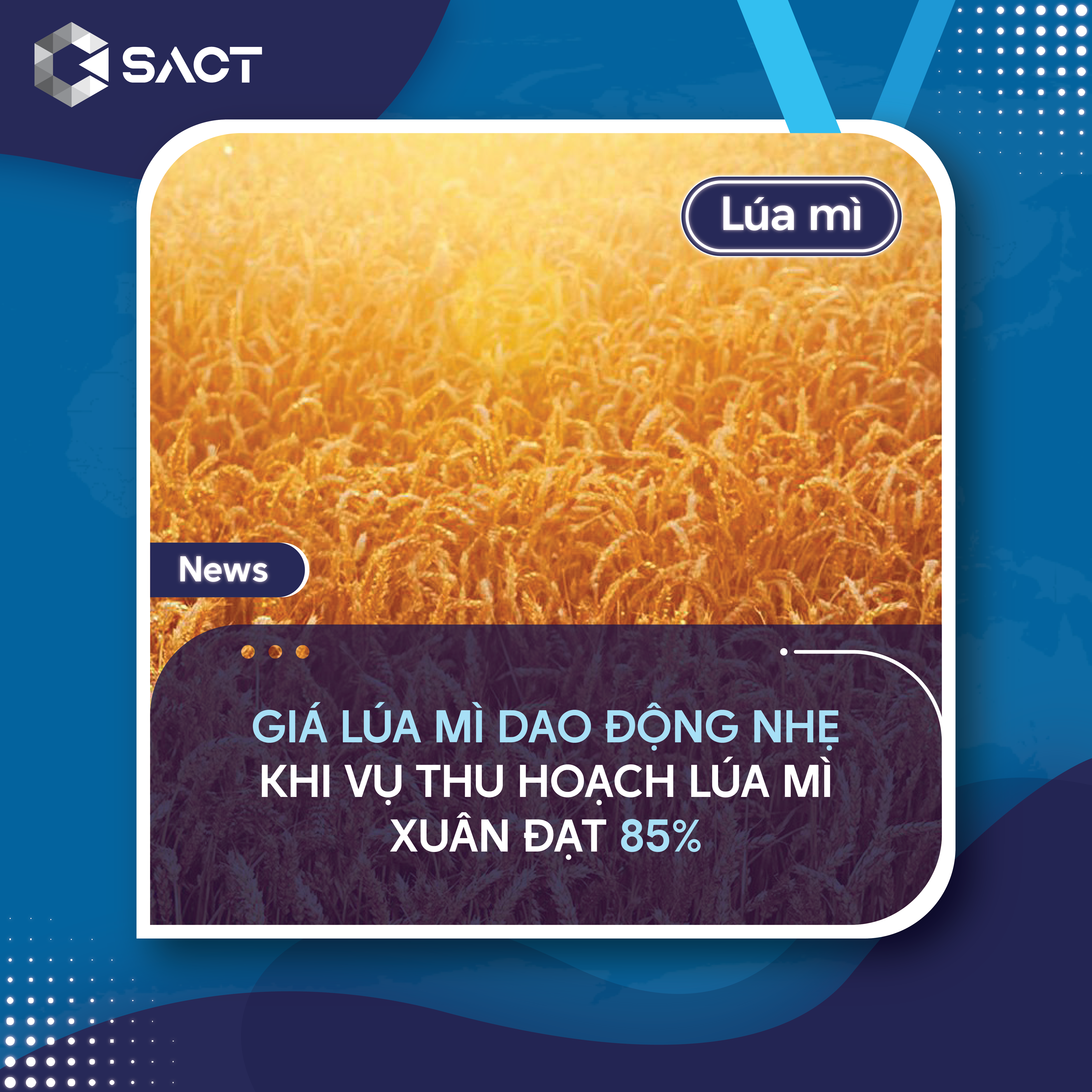 Lượng xuất khẩu lúa mì của Mỹ giảm nhẹ so với tuần trước xuống còn 586.687 tấn