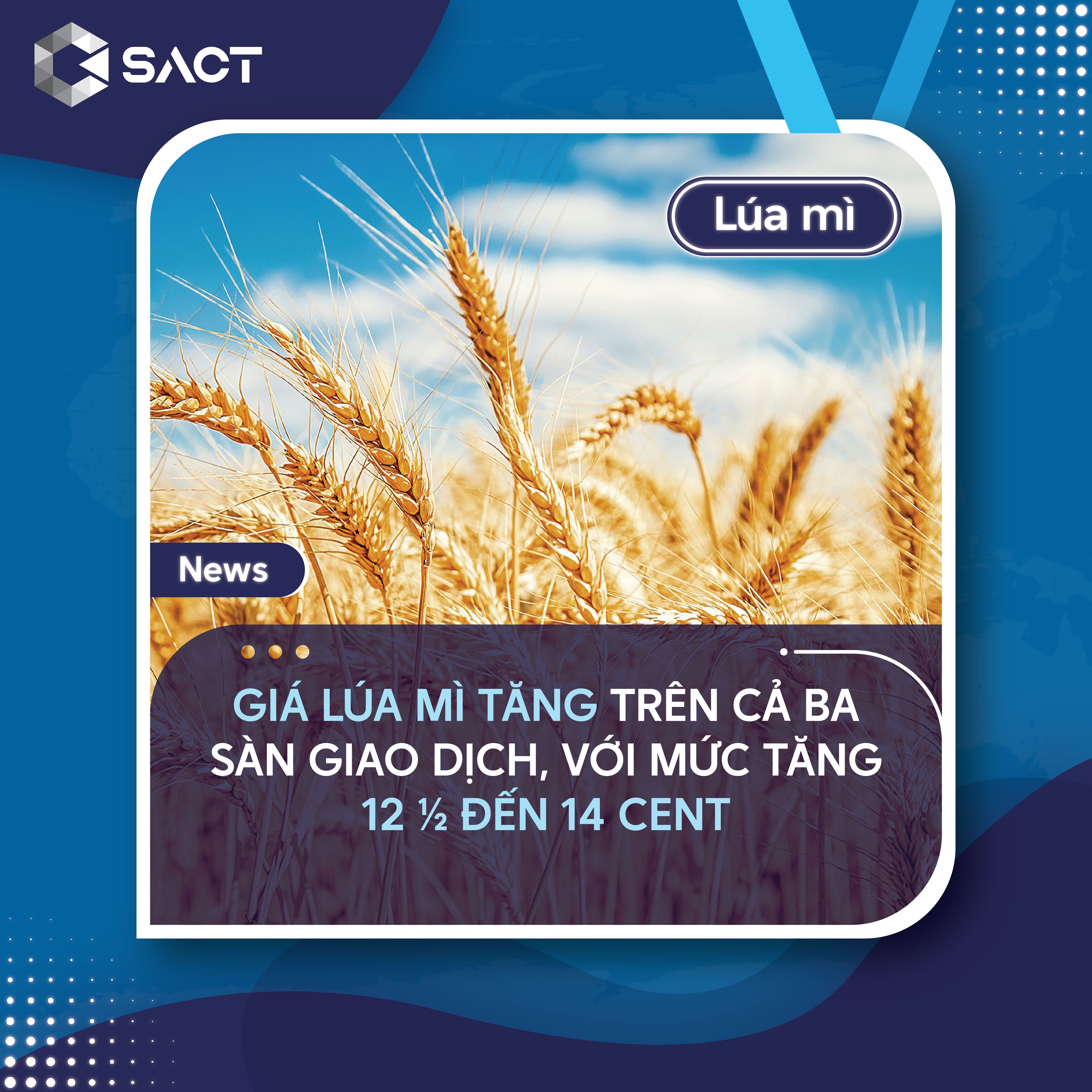 Xuất khẩu lúa mì tuần qua đạt 711.073 tấn, tăng 20,77% so với tuần trước