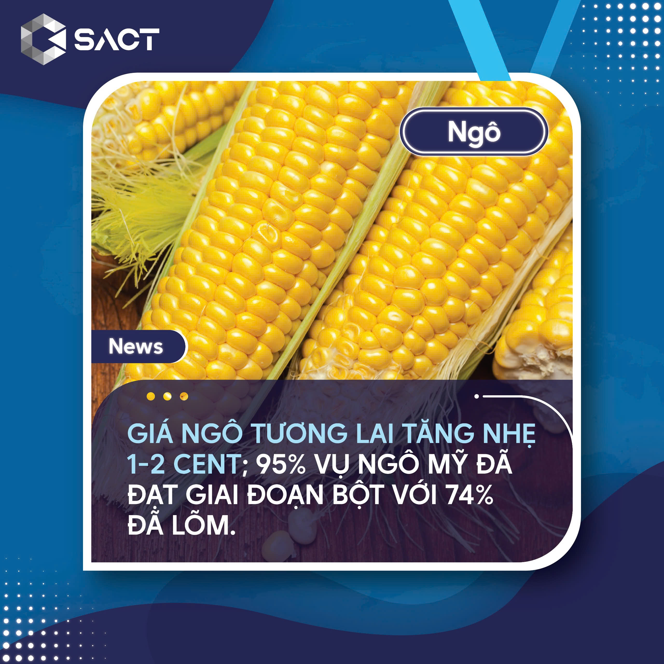  NASS báo cáo rằng 95% vụ ngô Mỹ đã đạt giai đoạn bột