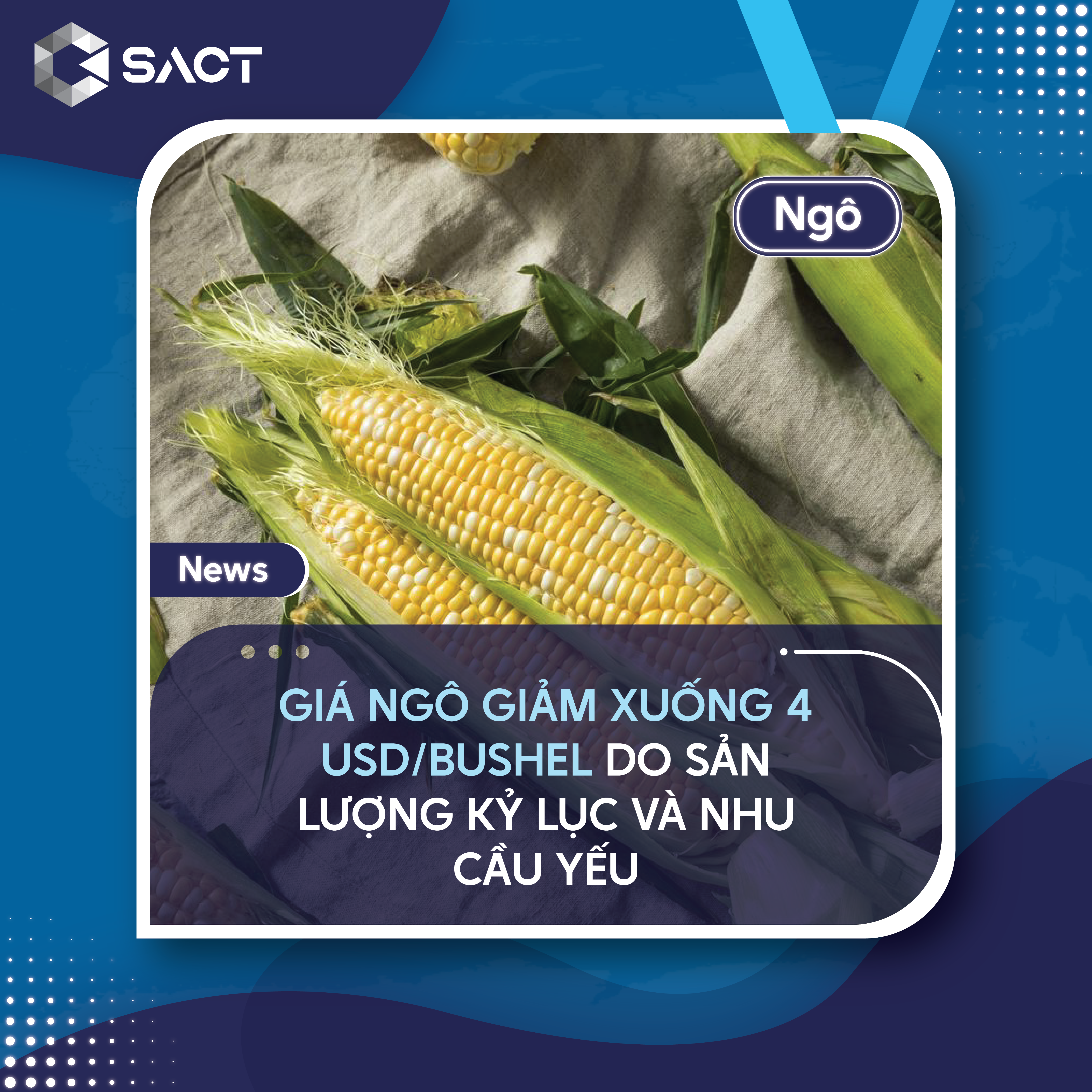 Lượng tồn kho toàn cầu dự kiến giảm nhẹ xuống còn 308,35 triệu tấn