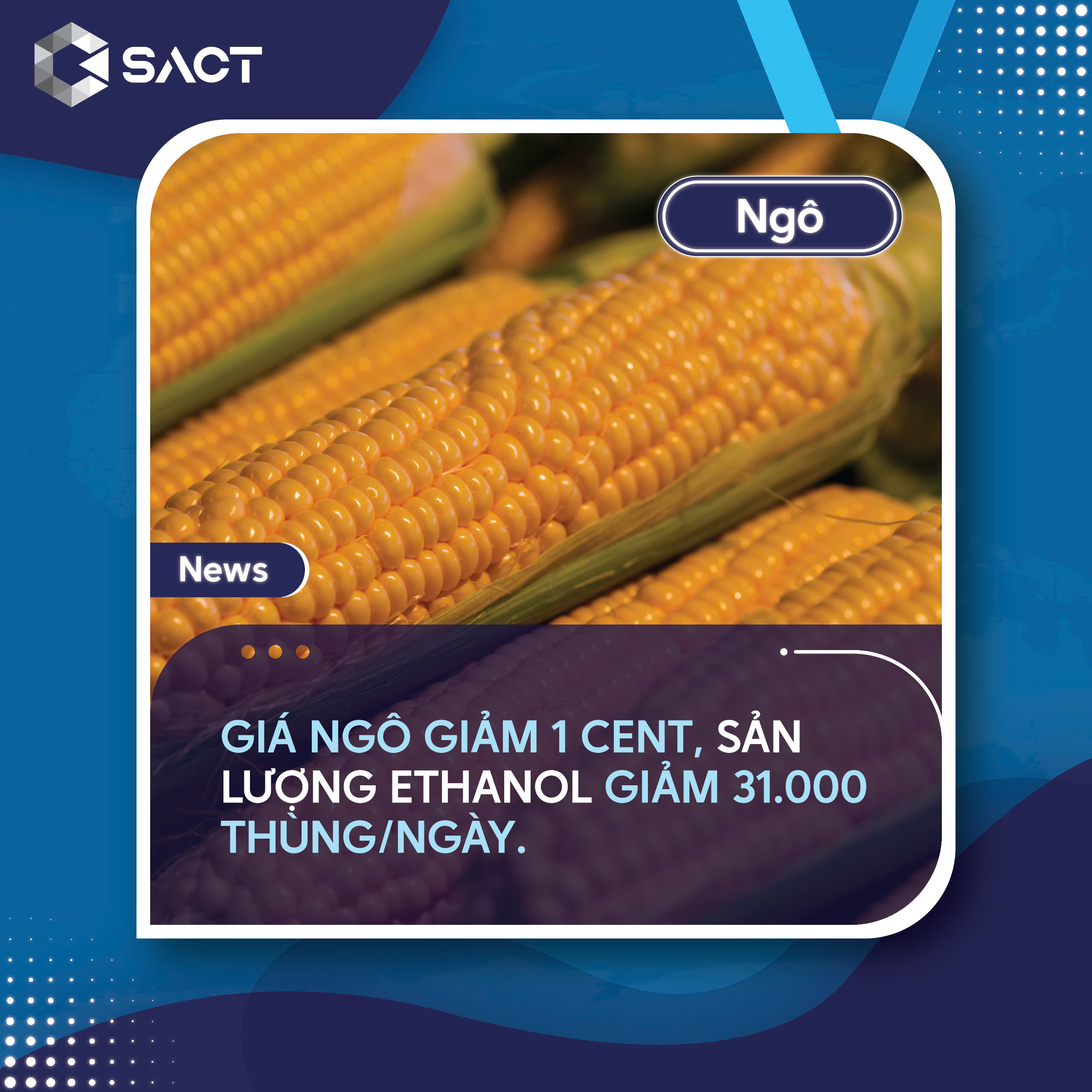 Giá đậu tương tiền mặt từ CmdtyView tăng 1 ¾ xu