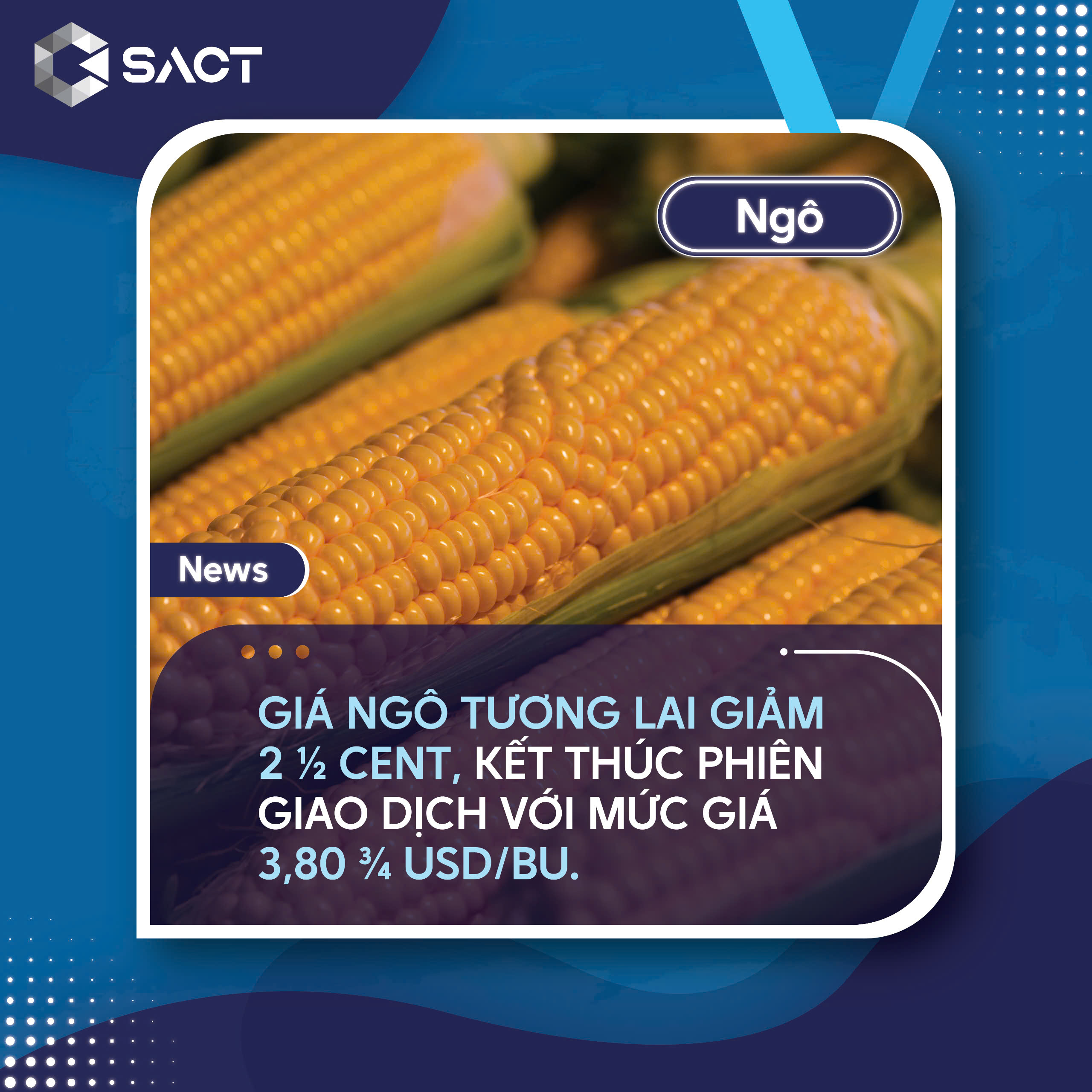 Bộ Nông nghiệp Hoa Kỳ (USDA) đã thông báo bán 115.000 tấn ngô cho Mexico, giao vào năm 2024/25