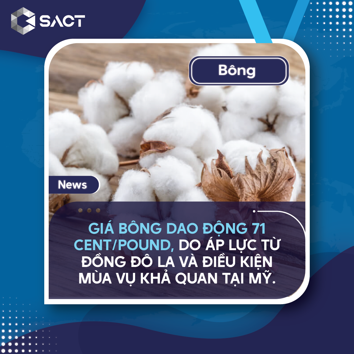 USDA trong báo cáo WASDE tháng 10 dự báo sản lượng bông toàn cầu sẽ đạt 25,395 triệu tấn