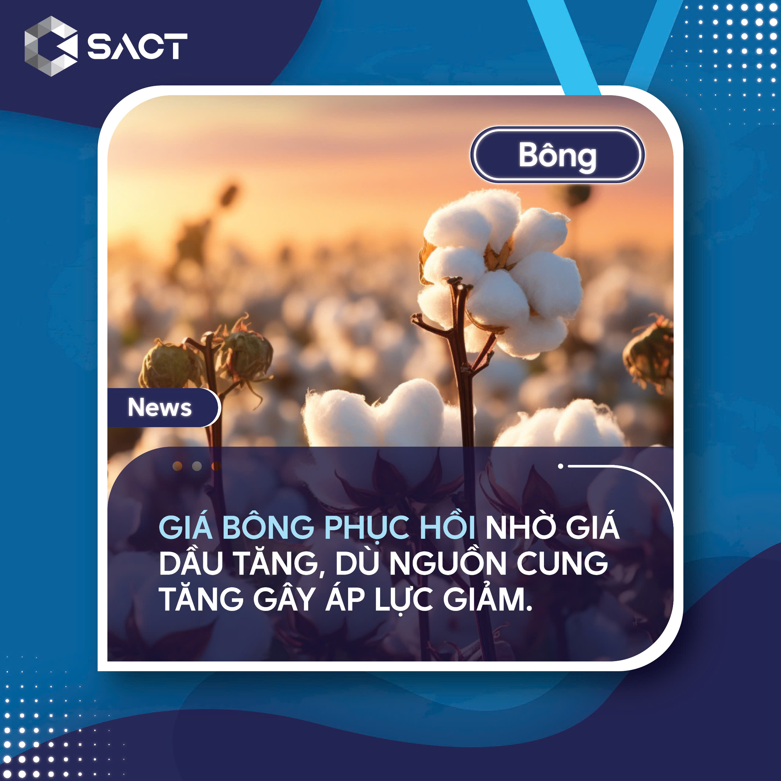 giá dầu và ngũ cốc tăng gần đây cũng đã phần nào hỗ trợ thị trường bông