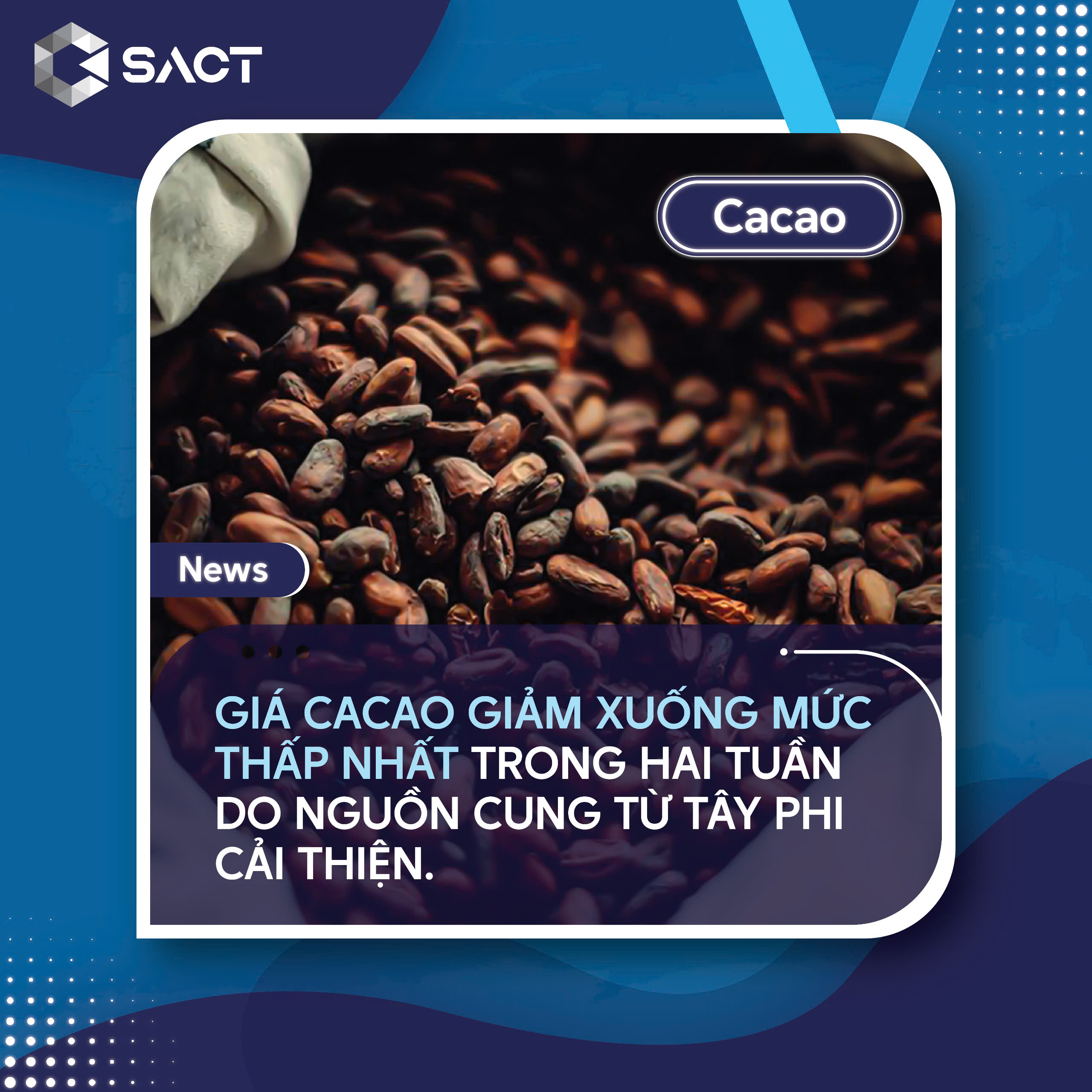 Lượng cacao cập cảng Bờ Biển Ngà đã tăng 12,9% so với cùng kỳ năm ngoái