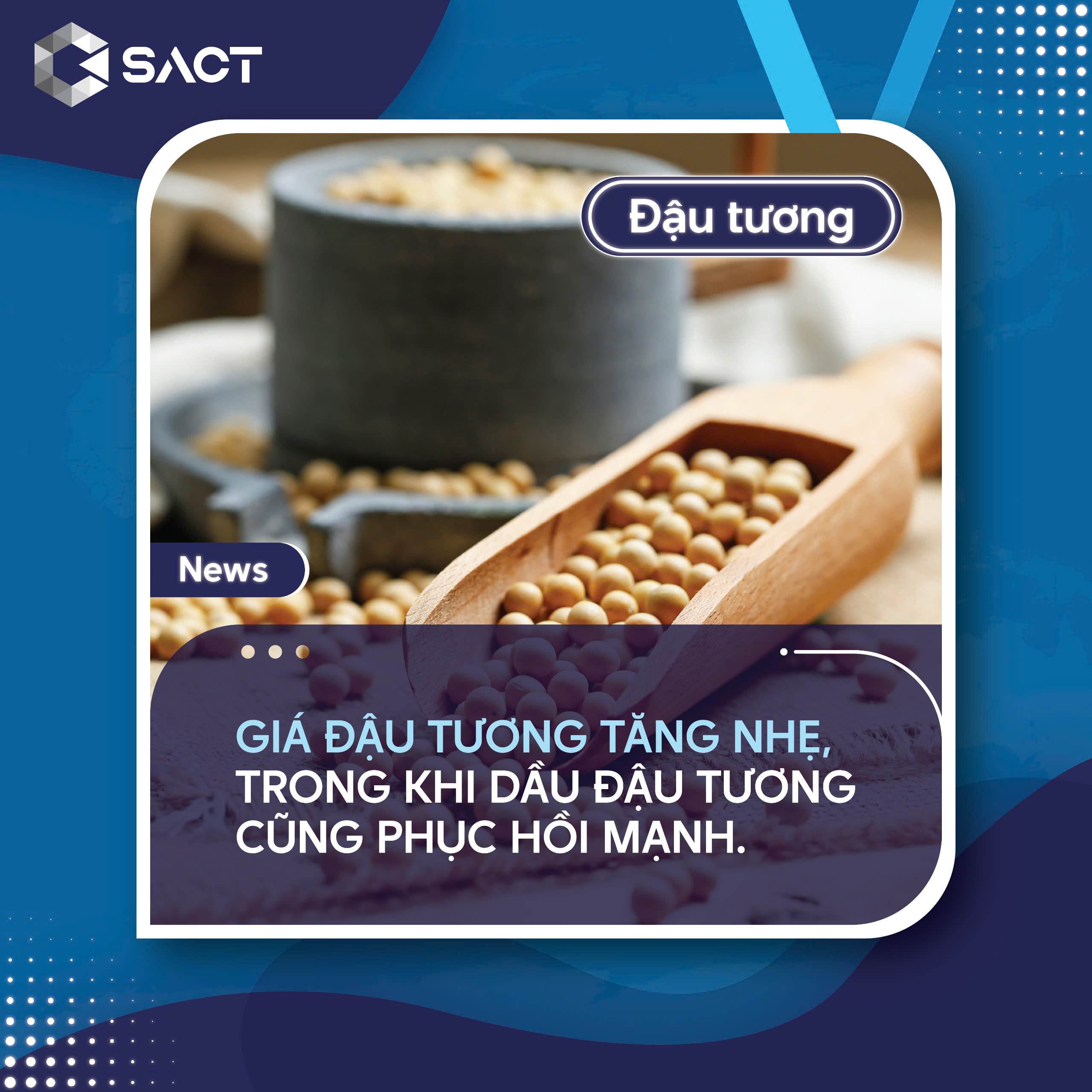 Tiến độ thu hoạch đậu tương tại Hoa Kỳ đạt 81%, cao hơn nhiều so với tốc độ trung bình 5 năm.