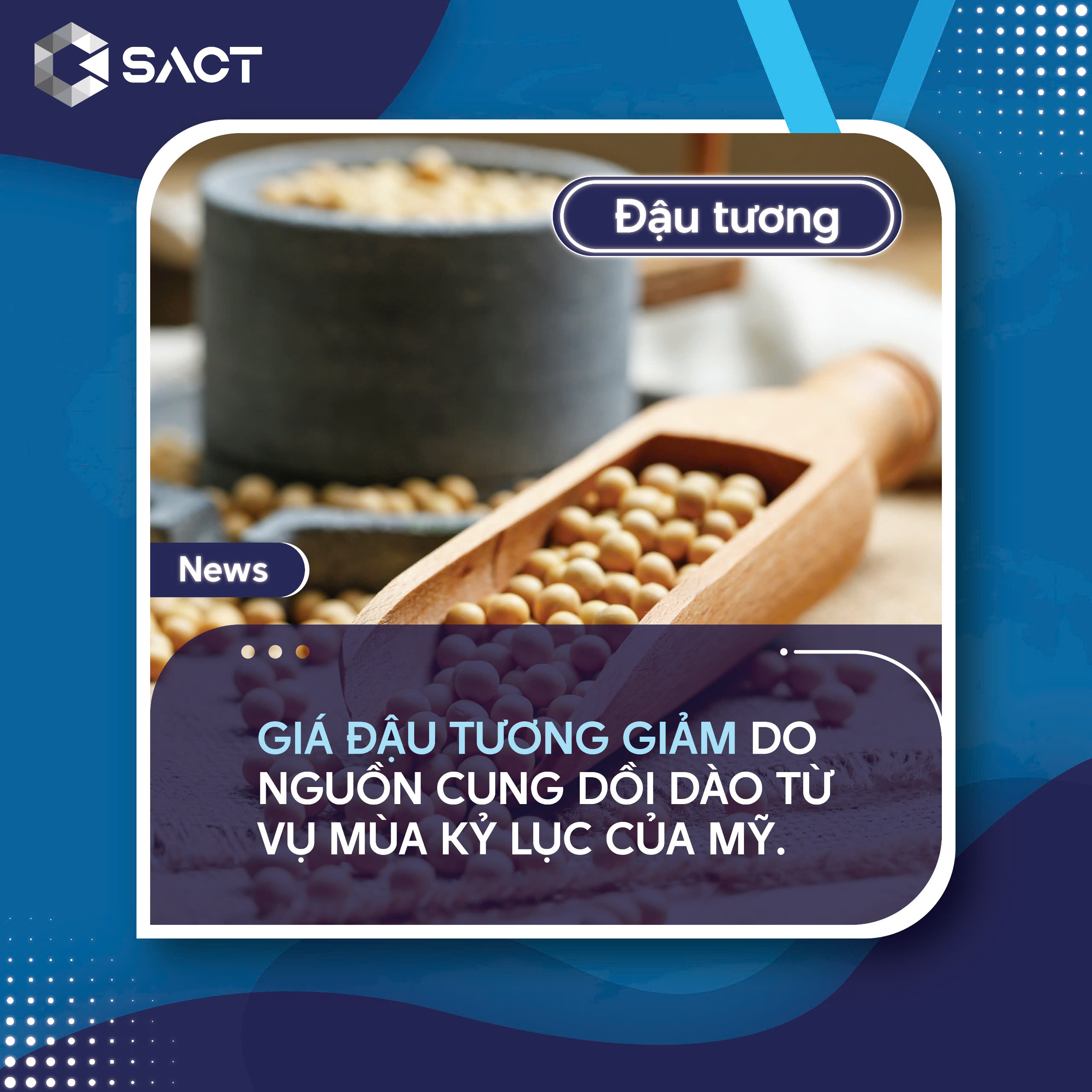 Sự gia tăng sản lượng và tiến độ nhanh chóng của vụ mùa khiến nguồn cung đậu tương trở nên dồi dào hơn