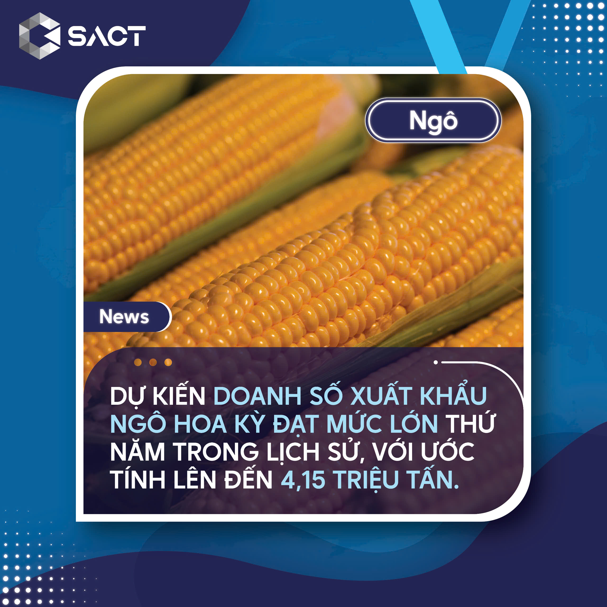 khối lượng ngô bán ra cho năm 2024/25 có thể dao động từ 2,2-3,3 triệu tấn