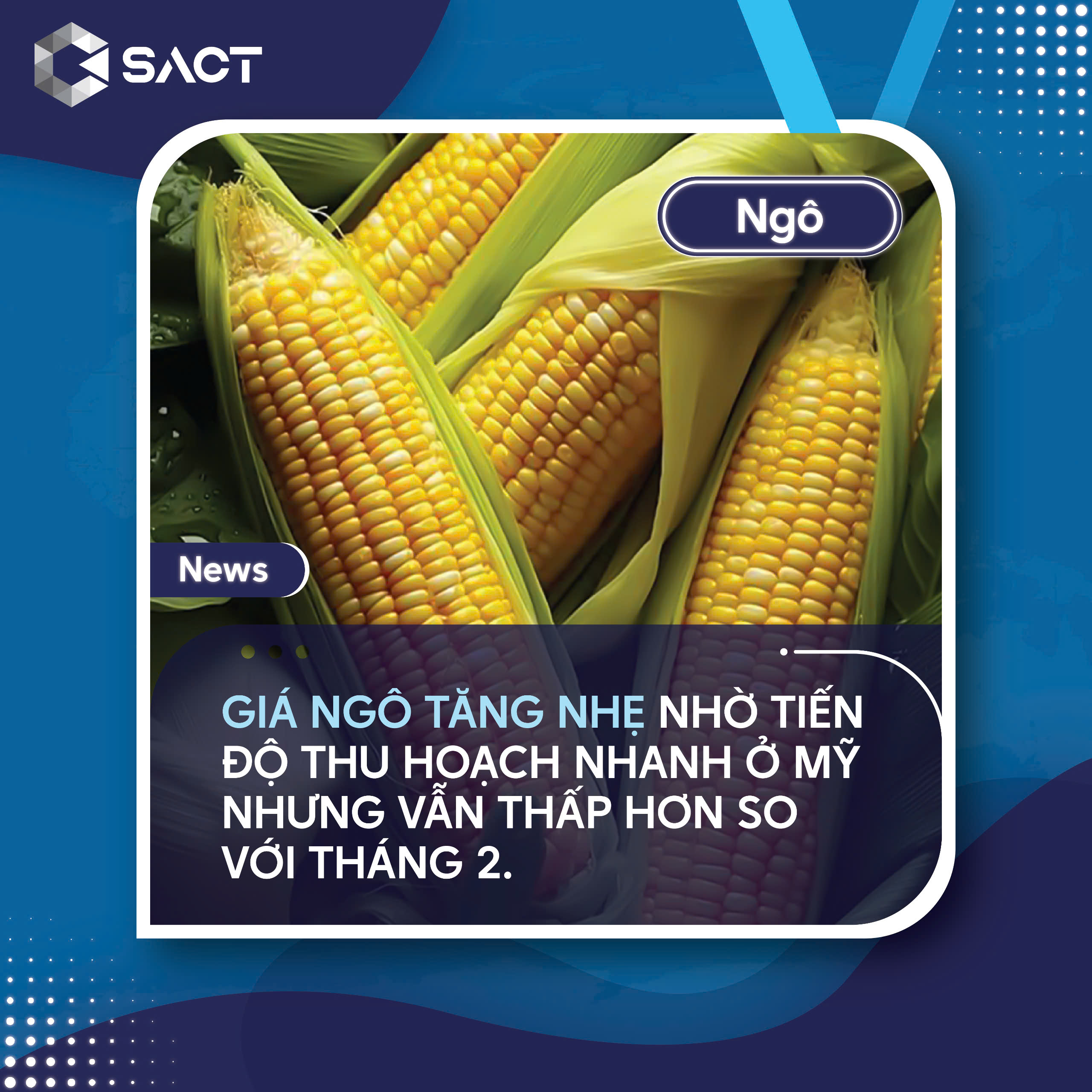 Giá đóng cửa trung bình của hợp đồng tương lai ngô tháng 12 trong tháng 10 là 4.17 USD