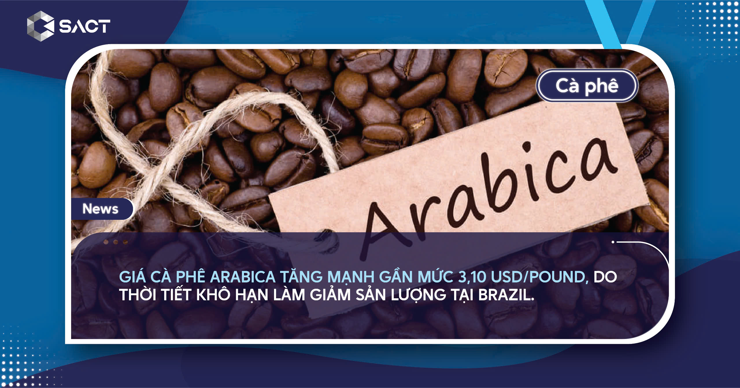 n arabica2611